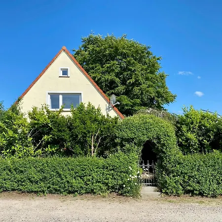 Kuschel-muschel Scharbeutz